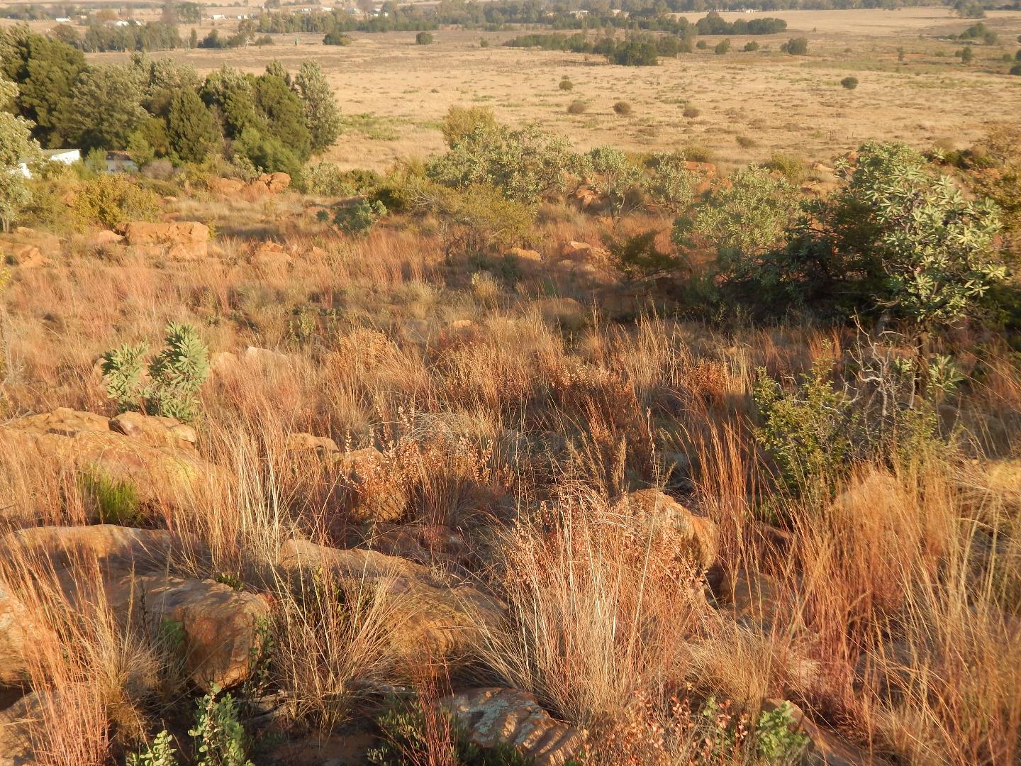 Vacant Land for Sale - Gauteng